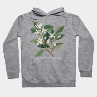 Florida State Flower Orange Blossom Hoodie